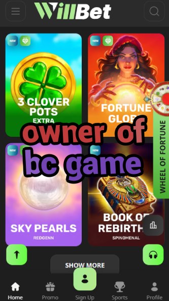 Owner of BC Game - Company Background-vz72fvrf.com